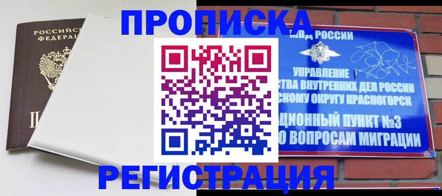 прописка в Ермолино